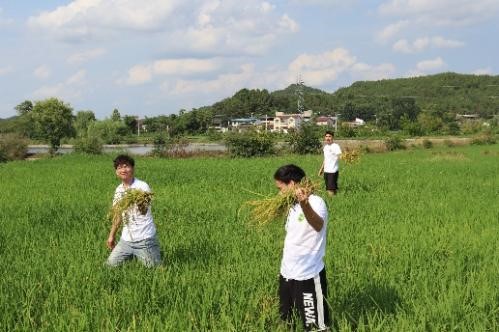 西华大学材料科学与工程学院“三...